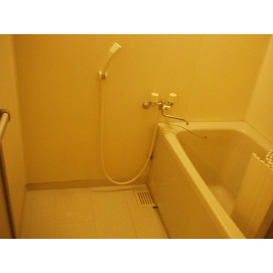 バス・シャワールーム　明るい色調の室内です