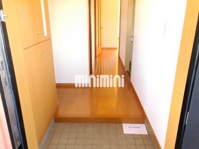 玄関　シューズボックスあります