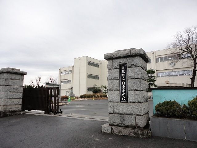 小学校　市原市立白金小学校（小学校）まで850m
