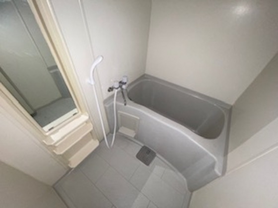 バス・シャワールーム　※別部屋の写真です