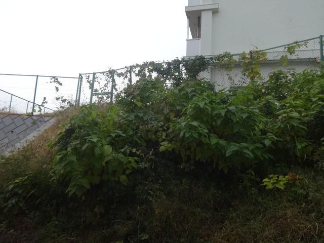 眺望　★★窓からの景色★★