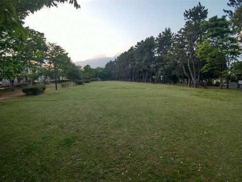 公園　袖ケ浦東近隣公園（公園）まで461m