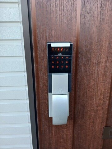 レッドパインのその他写真