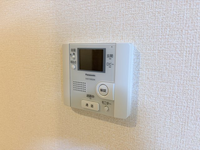 アンブロシアのその他写真