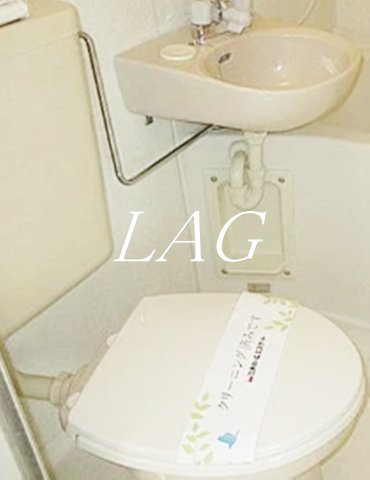 東武野田線 大和田駅 徒歩9分 2階建 築33年のトイレ写真