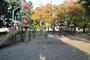 公園　島中央公園（公園）まで778m