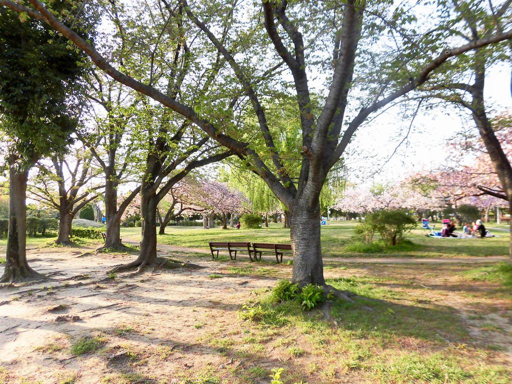 【ニューコーポ島村の公園】