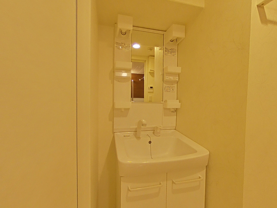 洗面設備　※別部屋の写真です