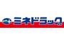 ドラックストア　ミネドラッグ石神井店（ドラッグストア）まで1084m