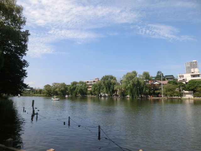 その他　石神井公園（その他）まで1303m