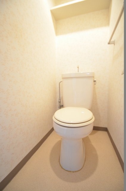 トイレ　同物件、別号室のものです。