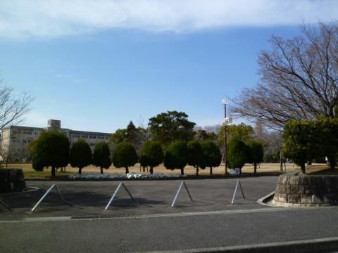 その他　中央公園（その他）まで1351m