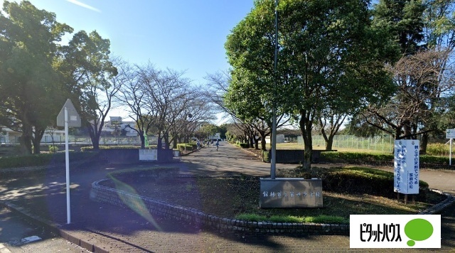 中学校　館林市立第四中学校（中学校）まで595m