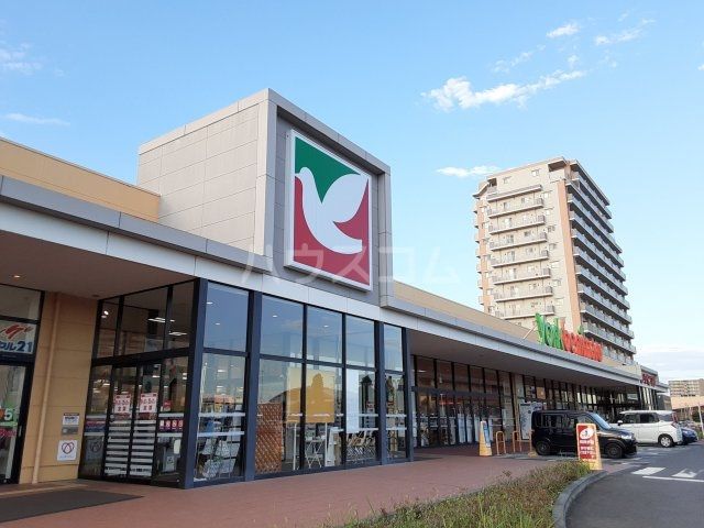 スーパー　ヨークベニマル　ひたち野うしく店（スーパー）まで337m