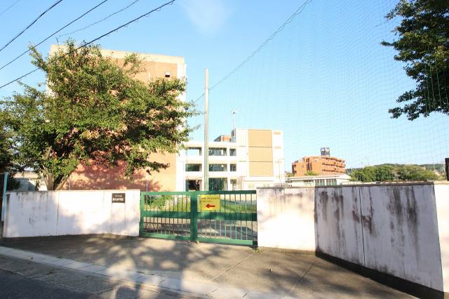 中学校　南天白中学校（中学校）まで1230m