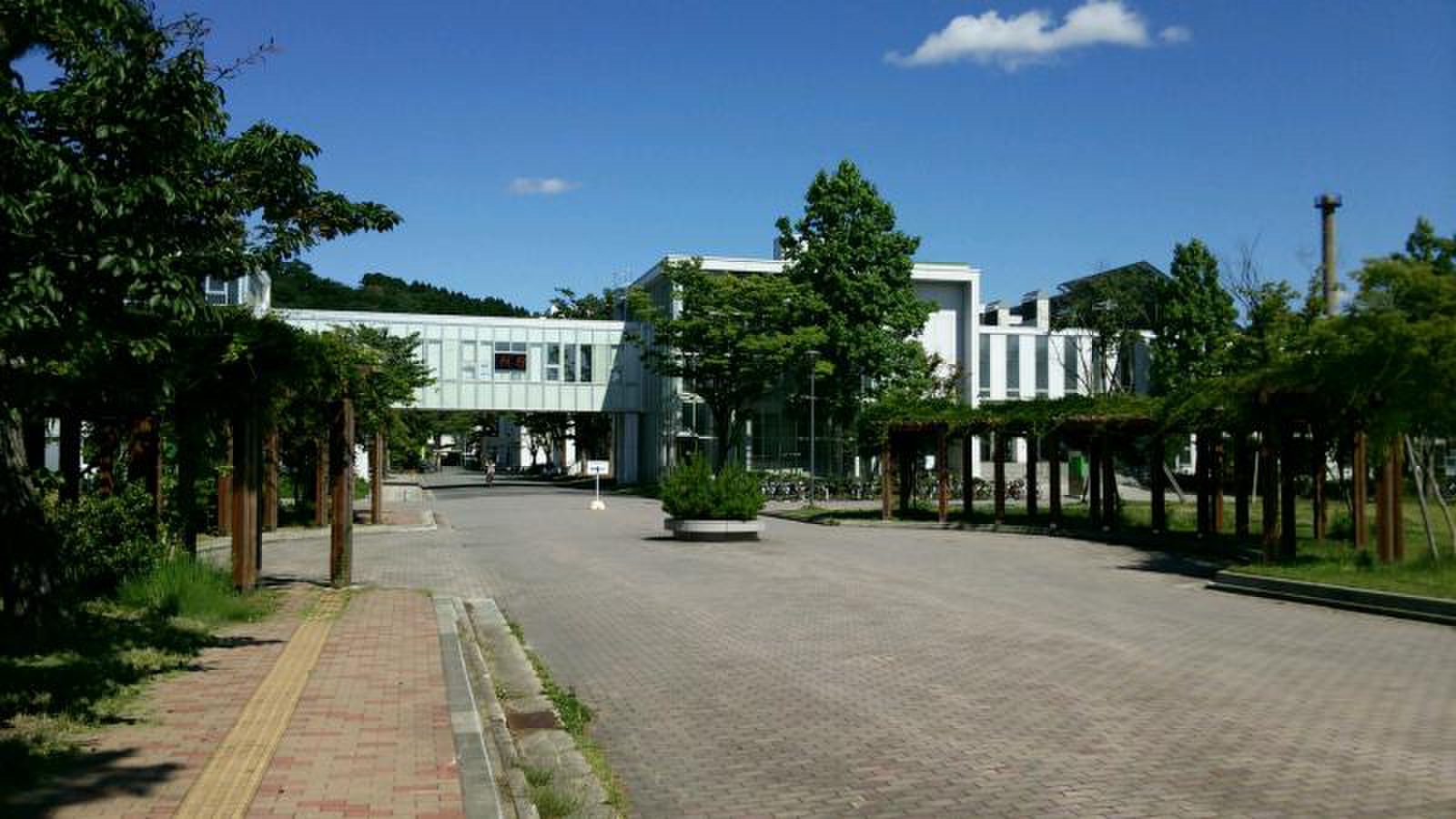大学・短大　国立秋田大学（大学・短大）まで1518m