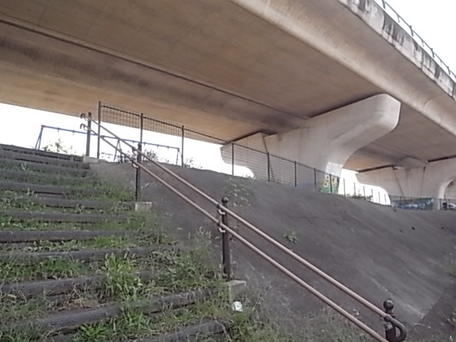 公園　湘南夢わくわく公園（公園）まで577m