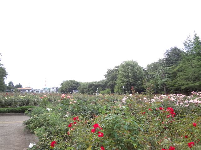 【ビラージュＹＳ・Ａ棟の公園】