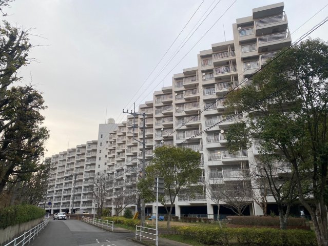 佐倉市大蛇町のマンションの建物外観