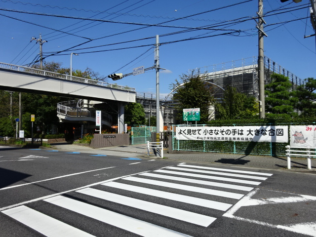 【ビオトープの小学校】