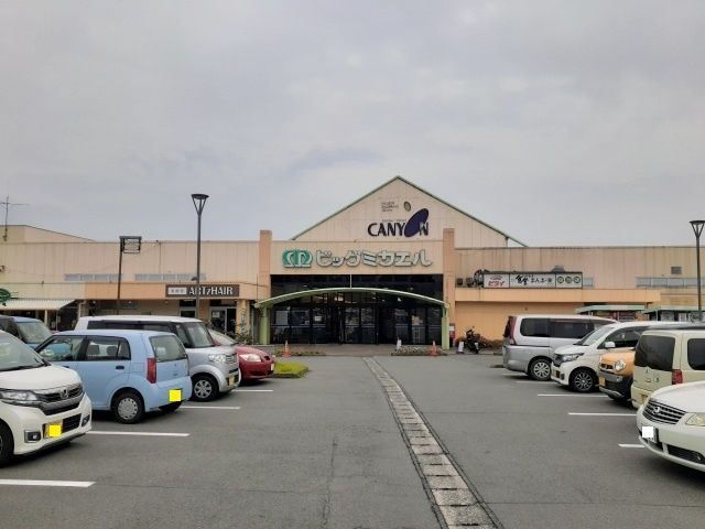 スーパー　キャニオン（スーパー）まで500m