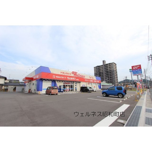 ドラックストア　ウェルネス昭和町店（ドラッグストア）まで450m
