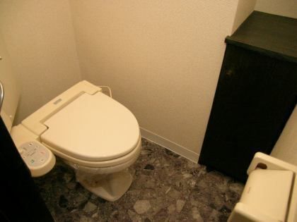 トイレ　※写真は別号室です。