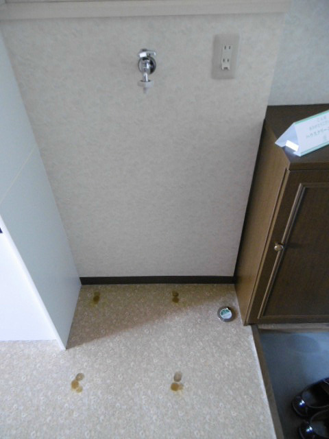 その他　※写真は204号室です(参考)