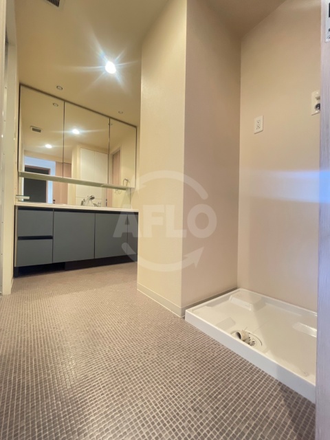 洗面設備　なんばセントラルプラザリバーガーデン　洗面所