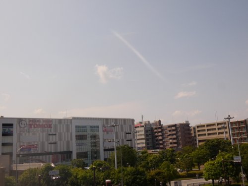 ショッピングセンター　ニトリ港北東急店（ショッピングセンター）まで262m