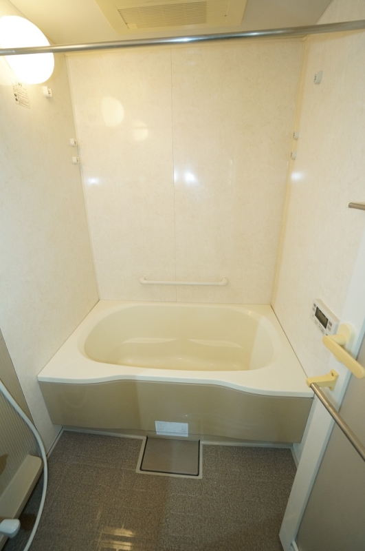 バス・シャワールーム　他号室の写真になります。