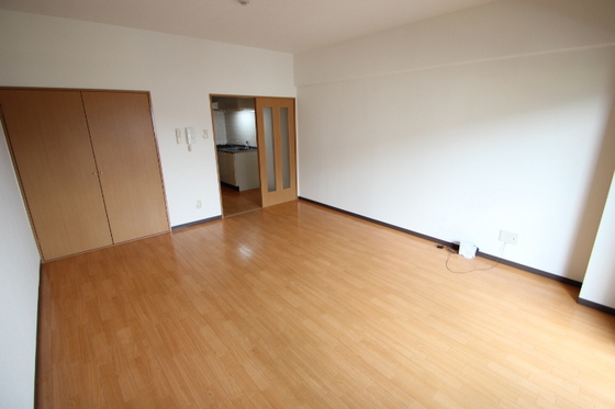 居室・リビング　※別部屋の写真です