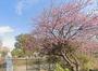 公園　今川公園（公園）まで708m