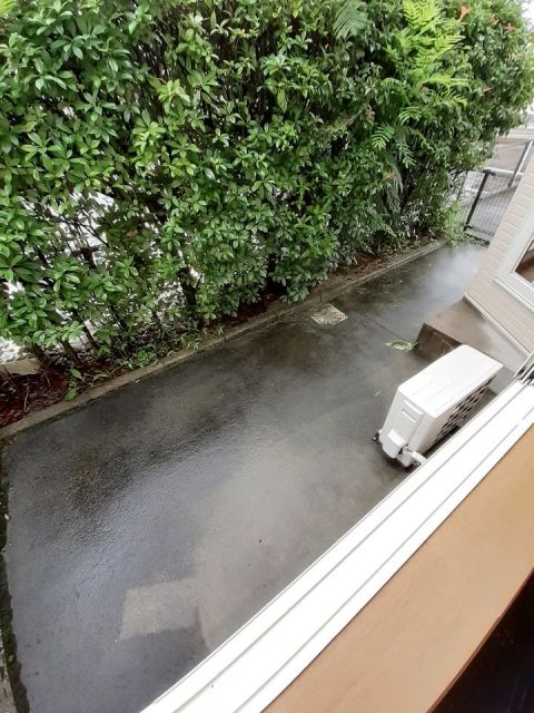 庭