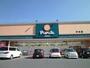 ドラックストア　ププレひまわり中庄店（ドラッグストア）まで384m
