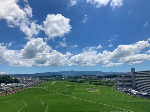 眺望