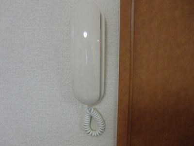 セキュリティ　写真は同型タイプ