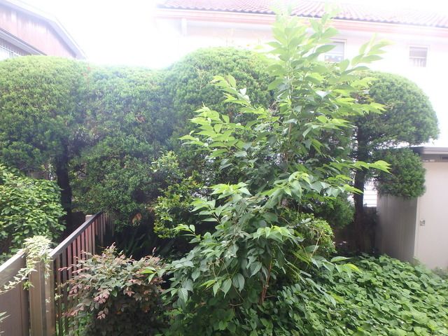 眺望　★テラスからの眺望★