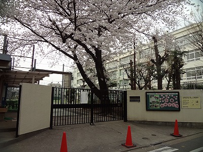 幼稚園・保育園　目黒区立げっこうはら幼稚園（幼稚園・保育園）まで173m