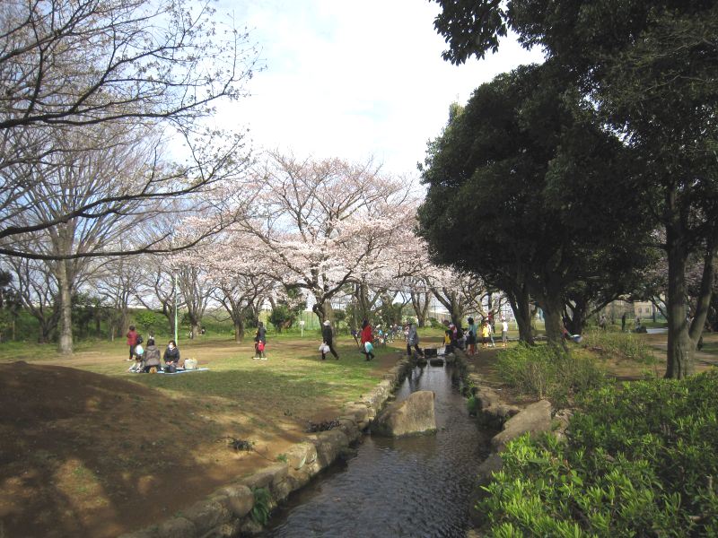 公園　稲田公園（公園）まで244m