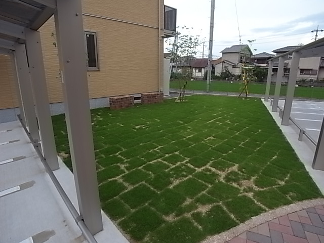 庭