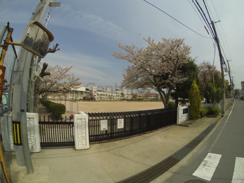 小学校　伊丹市立 桜台小学校（小学校）まで654m