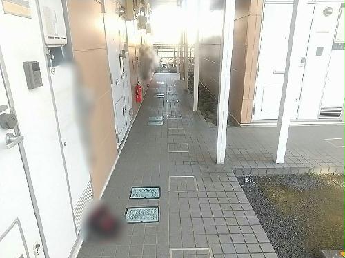 その他共有部分　※設備・仕様は現況と異なる場合があります。