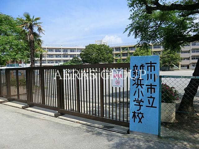 小学校　市川市立新浜小学校（小学校）まで1050m