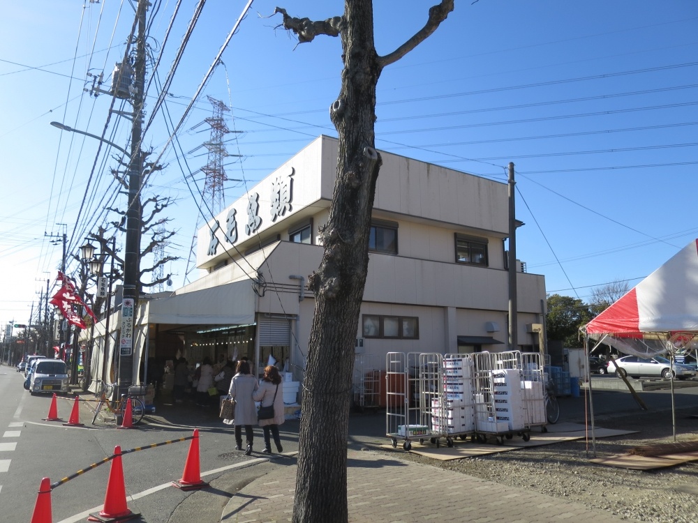 その他　石毛魚類（その他）まで1159m