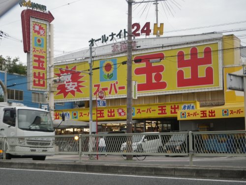 ロイヤル大池橋の周辺写真