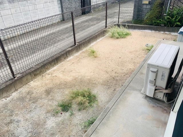 庭