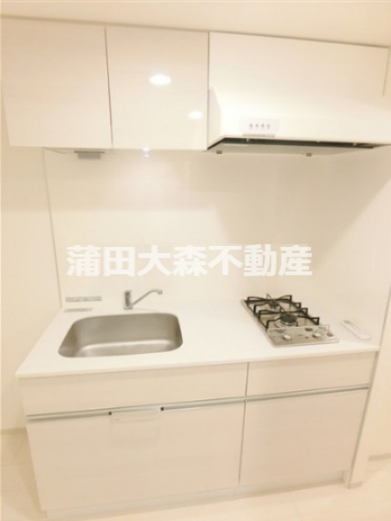 キッチン　2口ガスシステムキッチン