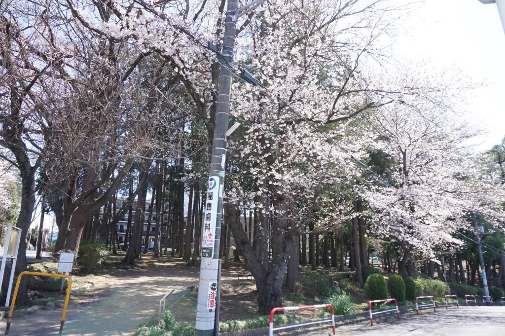 公園　さくら公園（公園）まで254m