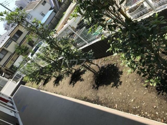 庭
